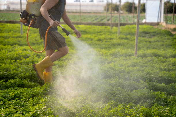 Reliable Port Charlotte, FL Pest Control Solutions