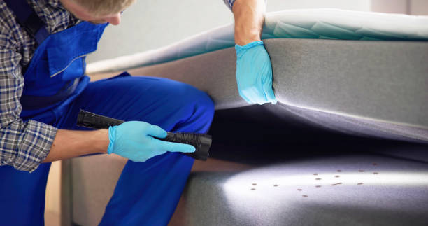 Best Residential Pest Control  in Port Charlotte, FL