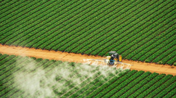 Best Commercial Pest Control Services  in Port Charlotte, FL