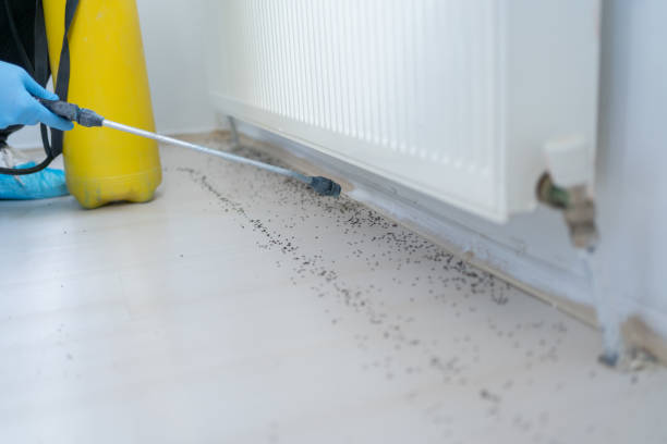 Best Insect Control  in Port Charlotte, FL