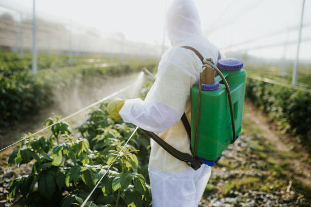Best Pest Prevention Services  in Port Charlotte, FL